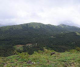 Savi Kanasu Sakaleshpura